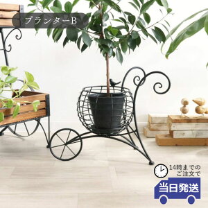 y 悠zJo[ v^[  킢 CeA v^[X^h  t[x[X t[X^h ACA Ԋ AeB[N ubN  K[fj