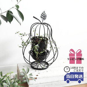 y 悠 MtgbsOz v^[ miV^ ACA  킢 CeA t[x[X v^[X^h  Ԋ AeB[N ubN  K[