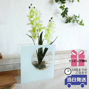 y 悠 MtgbsOz CeA  t[AWg  KXx[X KX rO     CeAG u   z