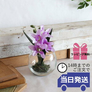 y 悠 MtgbsOz  CeA  t[AWg  KXx[X KX rO   CeAG u   p[v fB