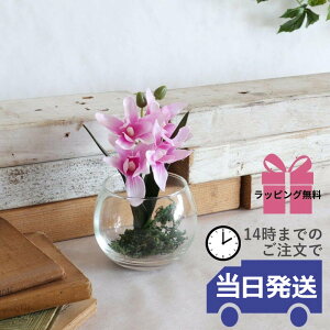 y 悠 MtgbsOz  CeA  t[AWg  KXx[X KX rO   CeAG u   p[v fB