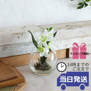 y 悠 MtgbsOz  CeA  t[AWg  KXx[X KX rO   CeAG u   p[v fB