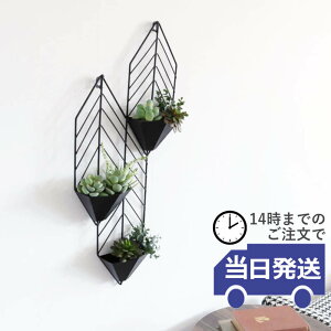 yzǊ|t[x[X Ǐ CeA EH[t[x[X v^[ mg[ _ k Ǌ|  ACA A[g{[h EH[fR[V  