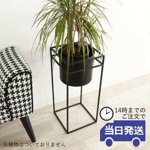 y 悠zt[X^h ACA Vv v^[Jo[ lp _ Jo[   ԑ k ubN IuWF  x_ K[fjO u r