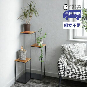 y 悠zt[X^h K[fjO CeA v^[X^h  ^ R[i[bN R[i[VFt  ԑ _ I ubN rO IuWF  