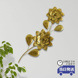 y 悠zrO Ǐ CeA Ǌ|  ACA S[h   zeCN EH[A[g ǖʑ  F EH[fR[V   