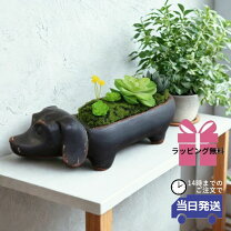 楽天市場】ダックス フンド 置物の通販