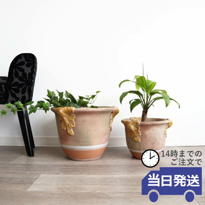 楽天市場】【当日発送】陶器鉢 植木鉢 2個セット 鉢カバー 花瓶  
