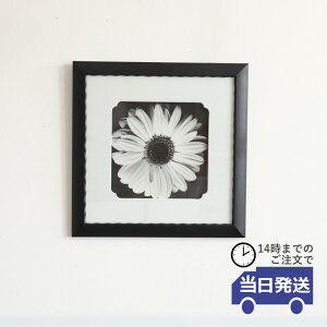 yzA[gpl A[gt[ t[ ʐ^ vg tHg Ǐ   rO Ǌ| NVbN AG G EH[A[g A[g{[h  EH[fR