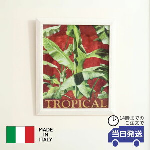 yzA[gpl A[gt[ C^A  G Ǐ  rO Ǌ| NVbN AG EH[A[g A[g{[h  EH[fR[V X Vv