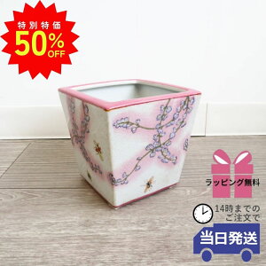 _X[p[SALEő50ItN[|L^y MtgbsOz ԕr t[x[X   j lp   Mtg  rO fUC a AeB