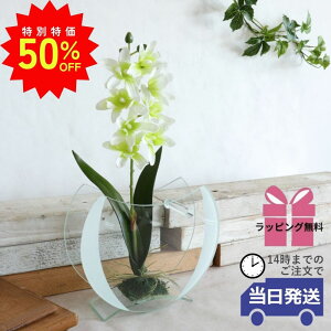 _X[p[SALEő50ItN[|L^y MtgbsOz CeA G  t[AWg   Mtg KXx[X KX rO 