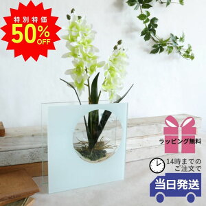 _X[p[SALEő50ItN[|L^y MtgbsOz CeA  t[AWg  KXx[X KX rO     