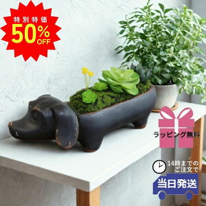 _X[p[SALEő50ItN[|L^y MtgbsOzCeAG  u  _bNXth AWt[ NVbN AeB[N IuWF r