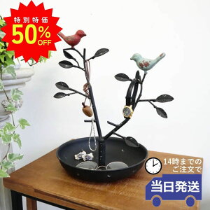 _X[p[SALEő50ItN[|L^yz   g[ 킢 ANZT[ [   g [bp AeB[N NVbN ANZT[z