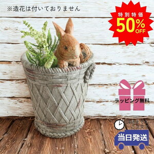 _z50%It&N[|L^y 悠 MtgbsOzJo[ K[fjO ԑ ETM u  k v^[Jo[ 킢 Aؔ t[|bg Aؔ