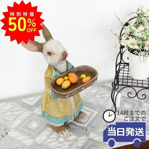 _X[p[SALEő50ItN[|L^yzu K[fI[ig g[  J[h k ETM u 킢 K[ft@j`[  K[fjOG 