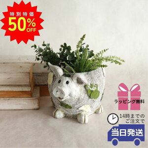 _X[p[SALEő50ItN[|L^y MtgbsOzJo[ K[fjO CeA  v^[ g u^ u AؔJo[ 킢 t[