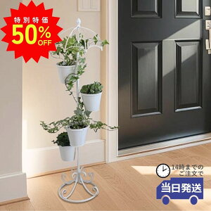 _X[p[SALEő50ItN[|L^yzt[X^h  Jo[ K[fjO   v^[ CeA 킢  t[|bg c AؔJo