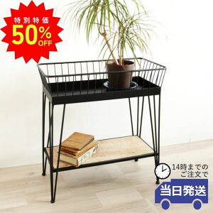 _X[p[SALEő50ItN[|L^yzv^[X^h ԑ ACA CeA K[fjO t[X^h ubN K[fbN t[bN I  