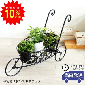 _X[p[SALEő50ItN[|L^yz Jo[ t[J[g CeA IuWF  v^[Jo[ K[fjO ACA G 킢 t[J[g 