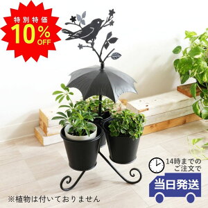 _X[p[SALEő50ItN[|L^yz Jo[ t[|bg  v^[Jo[ ACA P^ G 킢    AؔJo[  K[fjOG