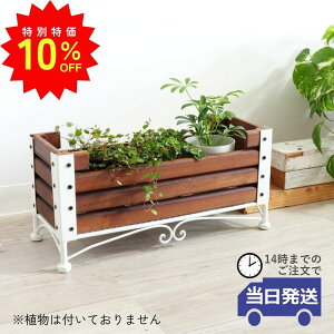 _X[p[SALEő50ItN[|L^yz v^[ Jo[ ؐ Ebh ` ACAX^h  v^[Jo[ G 킢  AؔJo[  K[