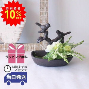 _X[p[SALEő50ItN[|L^yz  ㏬ 킢 ANZT[ [ ANZT[P[X    g [bp AeB