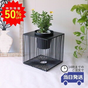 _X[p[SALEő50ItN[|L^yzACAv^[   _ Jo[ 3 k v^[X^h  Vv ԑ IuWF x_ K[fj