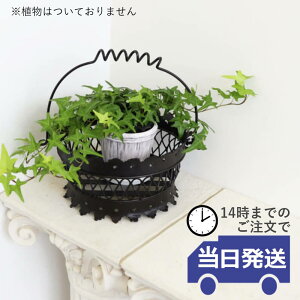 yzJo[ ACAG JS g[ R|[g rO Lb` _CjO ʕ AeB[N t[coXPbg g AeB[N NVbN  lC 