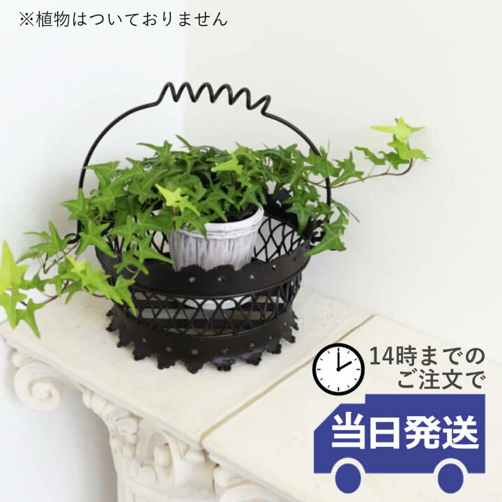 楽天市場】【当日発送】鉢カバー アイアン雑貨 カゴ トレー コンポート 