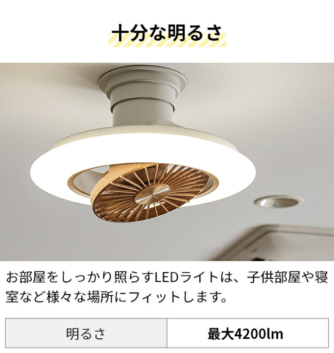 楽天市場】【楽天1位】【選べる豪華特典】 ドウシシャ サーキュライト 