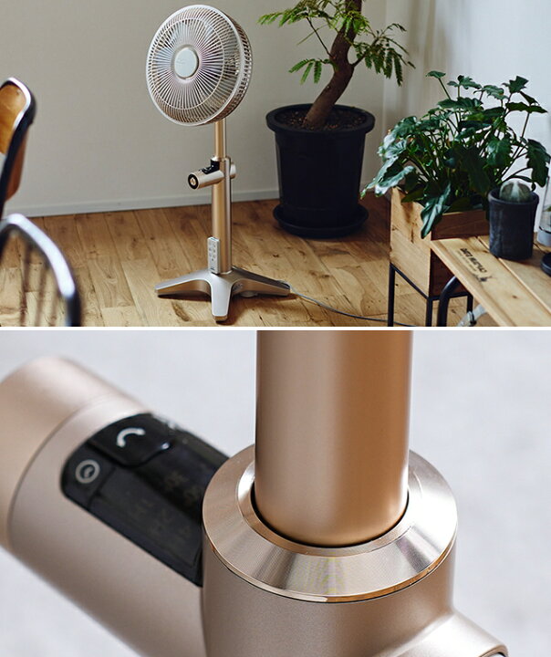 楽天市場】扇風機 【選べる2大特典】 カモメファン ライト K-F25AY  