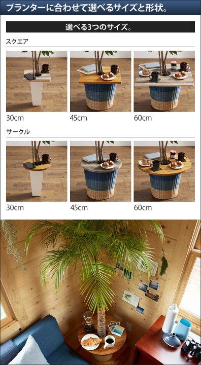 ミニテーブル プランツテーブル PLT Plants Table 45cm プランター 植木鉢 鉢植え 観葉植物 インテリア コーヒーテーブル  天然木 ウッド セレクトショップ・AQUA（アクア）