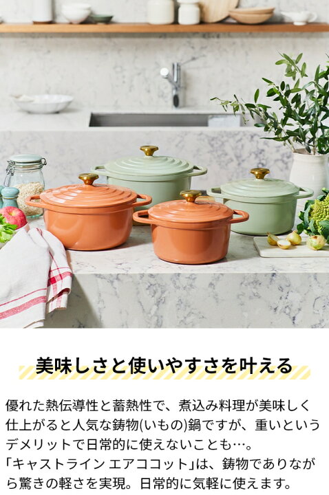 オンライン限定】 ティファール T-FAL ココット 鍋 20CM 両手鍋 軽い 