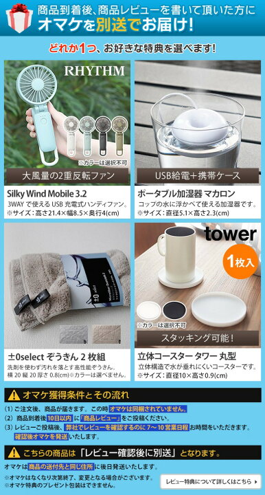 楽天市場】【楽天1位】【ハンディファンの特典有】 ドウシシャ 