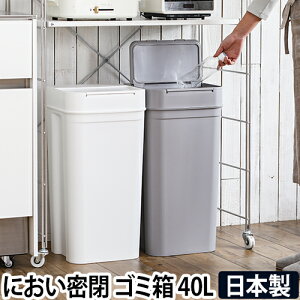 45l ダストボックス 白 ゴミ箱 ごみ箱 通販 価格比較 価格 Com 45l ダストボックス 白 ゴミ箱 ごみ箱 通販 価格比較 価格 Com