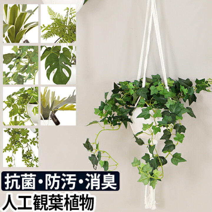 楽天市場 人工観葉植物 エクリア 消臭アーティフィシャルグリーン おしゃれ 消臭 防汚 抗菌 ハンギング リアル 造花 トイレ 玄関 インテリア リビング ダイニング キッチン Ct触媒加工 壁掛け 置き ナチュラル 緑 Eclia セレクトショップ Aqua アクア