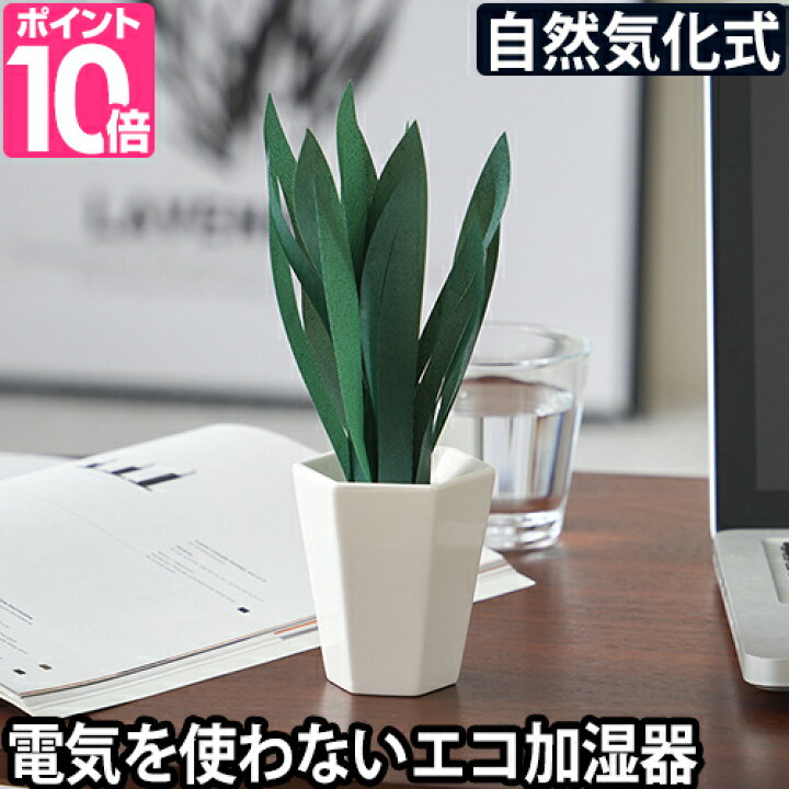 楽天市場 ペーパー加湿器 ミスティプランツ サンスベリア ミクニ エコ加湿器 省エネ 自然気化式 電気不要 卓上 オフィス ペーパー加湿器 エコロジー おしゃれ インテリア 日本製 セレクトショップ Aqua アクア