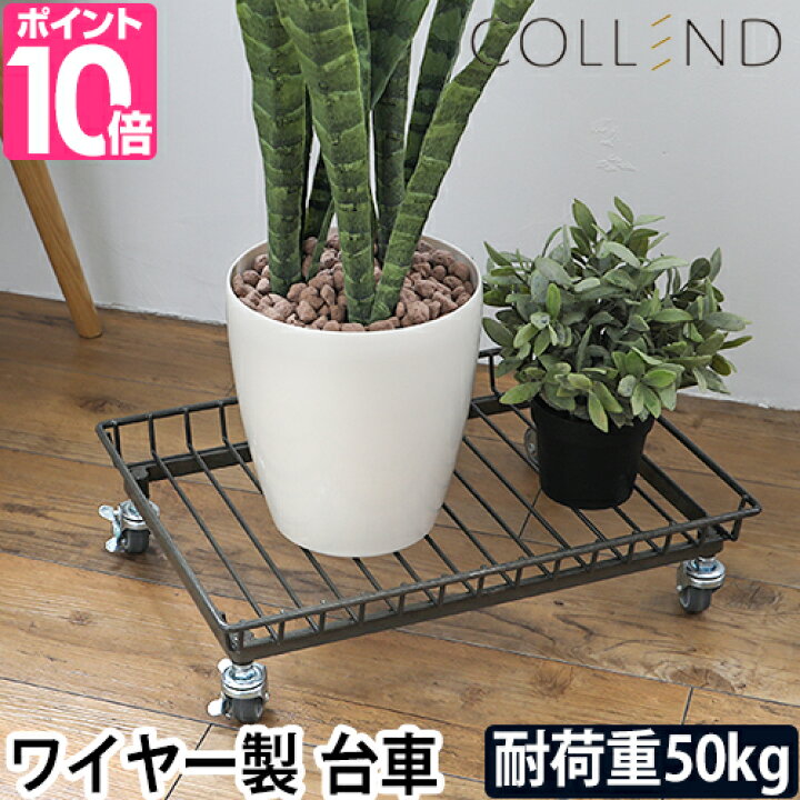 楽天市場 台車 Collend ワイヤートロリー コンパクト 小さい 静音 キャスター付き おしゃれ 50kg コレンド アウトドア ミニ 四輪 室内 ストッパー 花台 Ww Wtrl セレクトショップ Aqua アクア