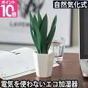 ミクニ エコ 加湿器 ミスティプランツ サンスベリア ペーパー加湿器 卓上 デスク 小型 小さい お手入れ簡単 ペットボトル かわいい おしゃれ 電源不要 電気 使わない コードレス 部屋 寝室 リビング オフィス 持ち運び 気化式 ベッドサイド 日本製