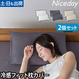 ナイスデイ ピローケース 超ひんやり冷感 3Dストレッチぴったりフィットの枕カバー2枚組 Q-MAX0.53 枕カバー ピローカバー 低反発 かわいい クール 筒型 筒形 夏 ファスナーなし 伸縮 おしゃれ