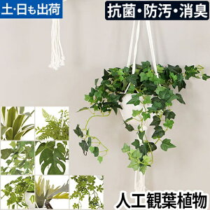 lHϗtA GNA LA[eBtBVO[  L h R nMO A  gC  CeA rO _CjO Lb` CTG}H Ǌ| u i