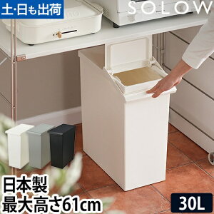 S~ ݔ SOLOW IŎgX_Xg{bNX o[I[v30L 30bg X LX^[t LX^[ IV  W ӂt k  e Lb` Lb