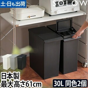 S~ ݔ SOLOW IŎgX_Xg{bNXo[I[v30L F2Zbg 30bg X LX^[t LX^[ IV  W ӂt k  e 