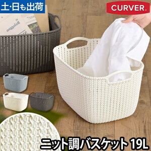 [ jbgXNGAoXPbg 19L CURVERiJ[o[j ߗ oX JS h[@  ו