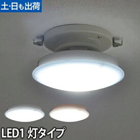 LEDライト Slimac(スライマック) LEDシーリングライト 1灯タイプ CE-1000／CE-1001 廊下 玄関 ランプ グッドデザイン賞