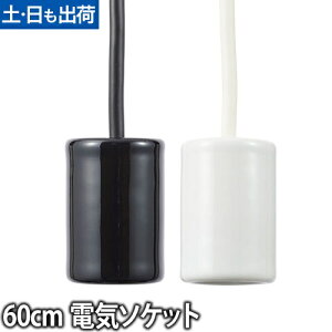 y_gCgpd SWAN BULB Xou dC\Pbg 60cm |V[O  \PbgR[h