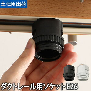 SWAN X _Ng[p\Pbg E26 LED d