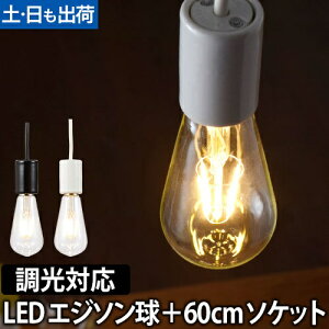LEDd LEDCg XoufB}[ GW\ 60cmdC\PbgZbg Ή SWAN BULB DIMMER Edison Ɩ ȃGl  Md dF SWB-E052L